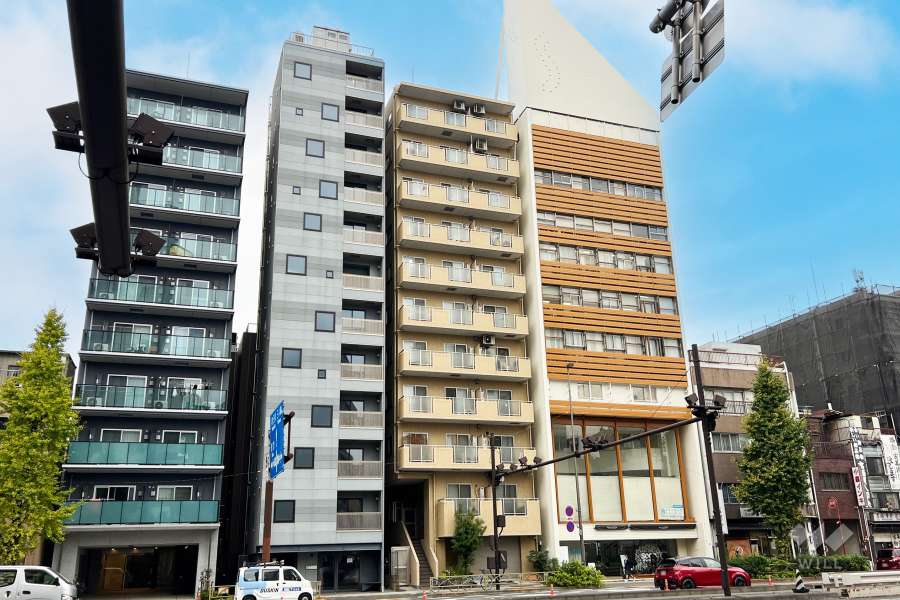 ドメイン入谷ステーションプラザの外観（南東側から）