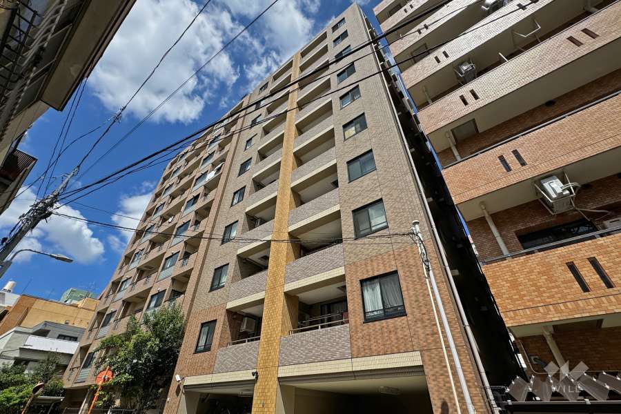 ネバーランド上野松が谷の外観（南側から）