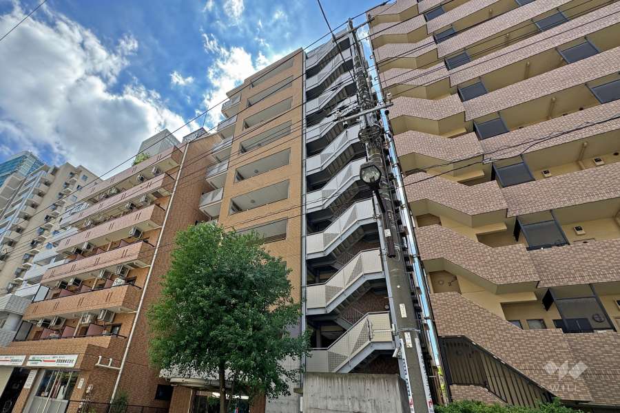 ネバーランド上野松が谷の外観（北西側から）