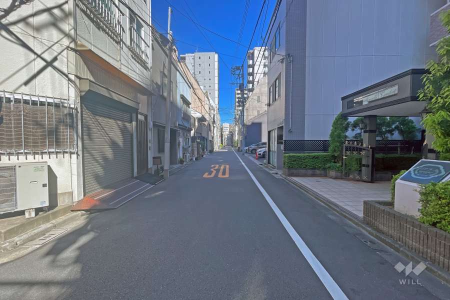 敷地の北側前面道路（西側から）