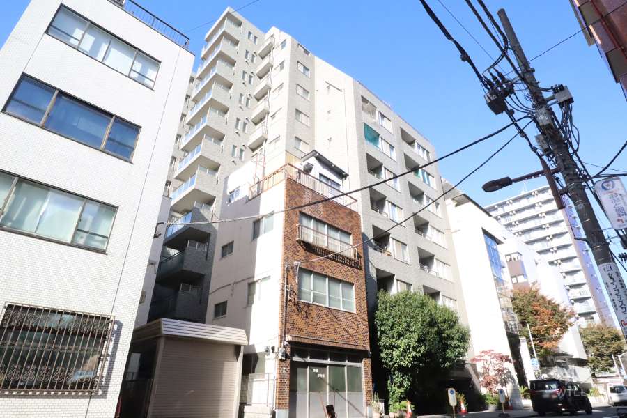 ユニオンパレス御徒町の外観(南東側から)