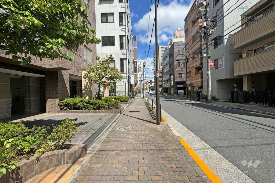 敷地東側の前面道路（南側から）