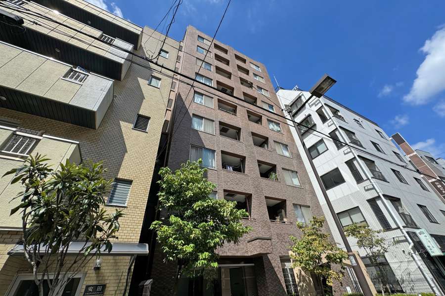 レジェンド松が谷の外観（南東側から）
