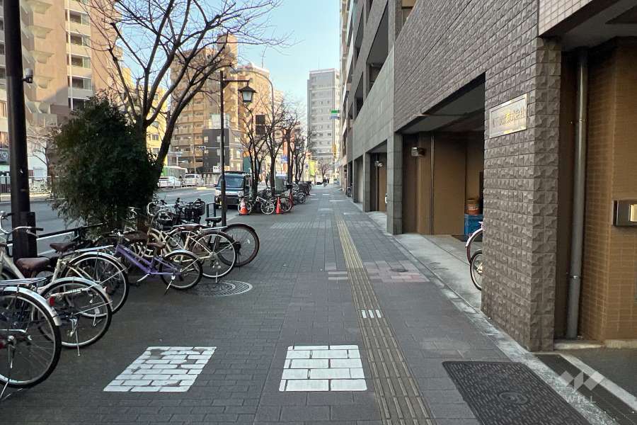 敷地の北東側前面道路（北西側から）
