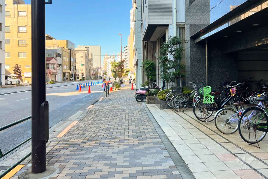 敷地の西側前面道路（南側から）