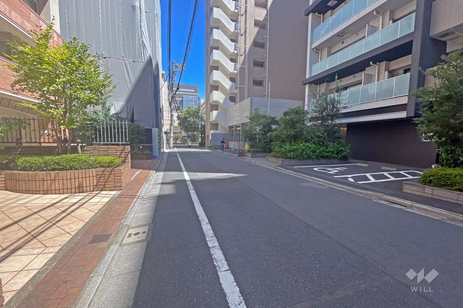 敷地の東側前面道路（南側から）