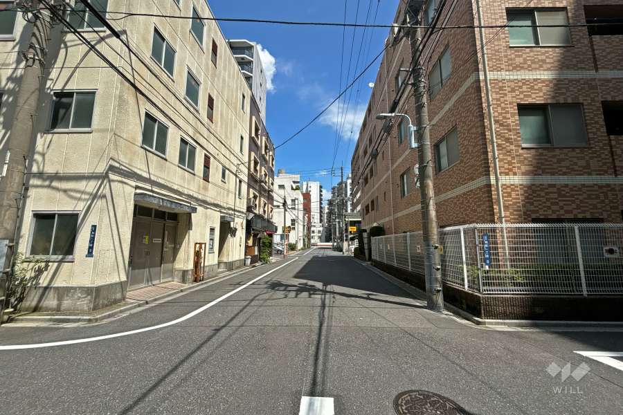 敷地の西側前面道路（南側から）