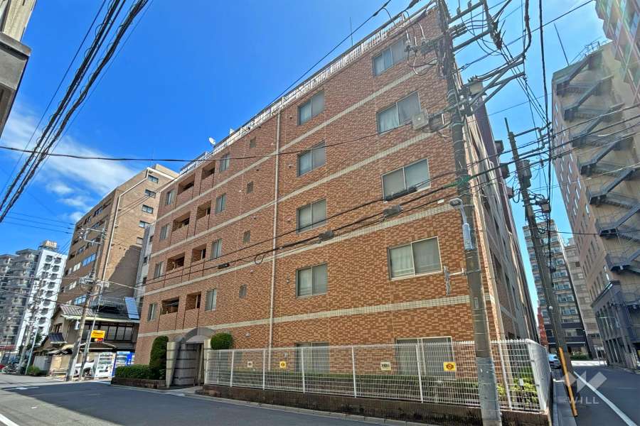 レーベンシティオ浅草ハイセレサの外観（西側から）