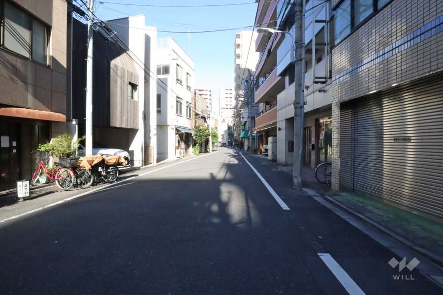 敷地西側の前面道路(南側から)