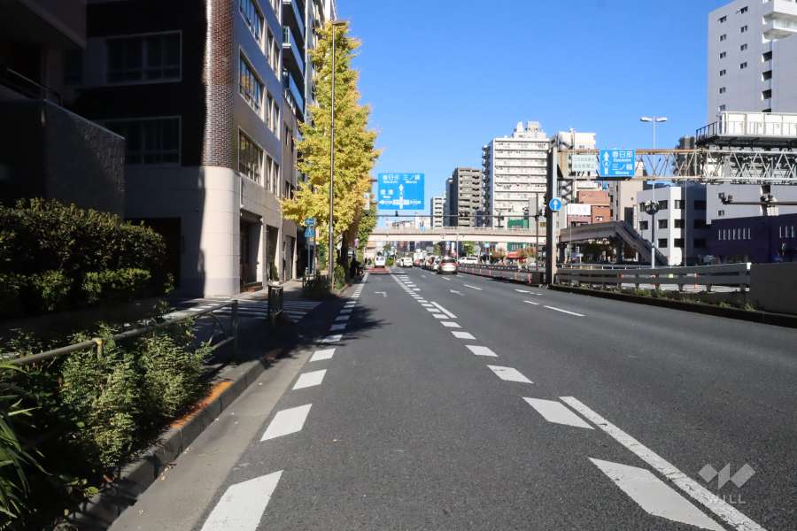 敷地東側の前面道路(南側から)