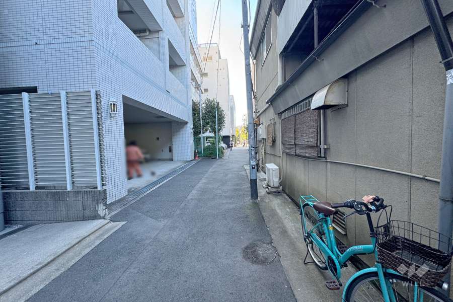 敷地の西側前面道路（北側から）