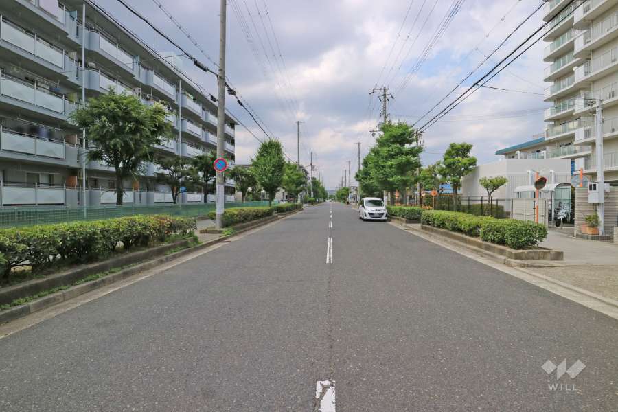 敷地西側の前面道路（南側から）
