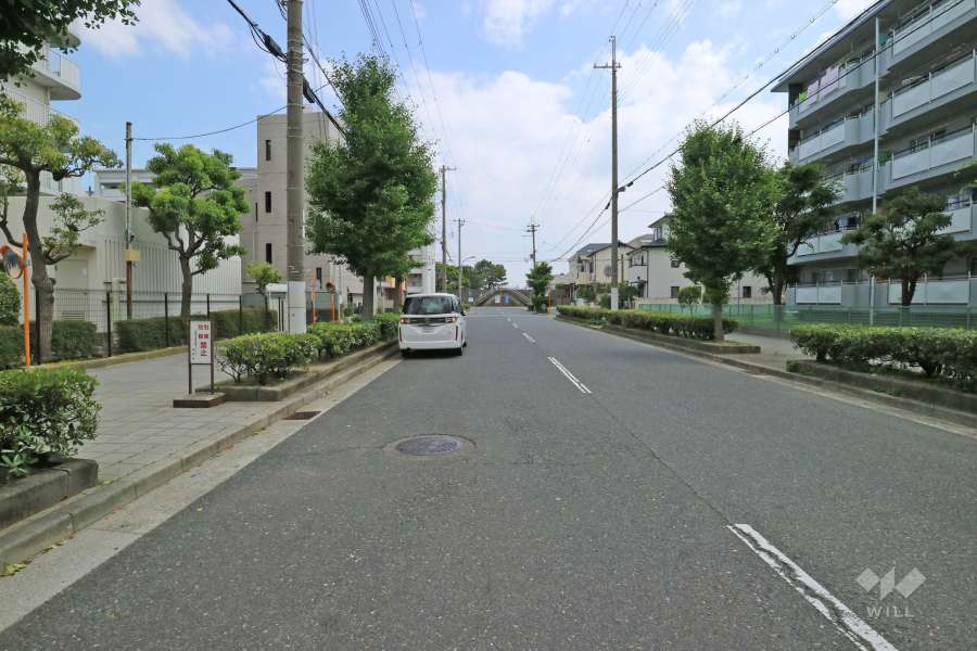 敷地西側の前面道路（北側から）