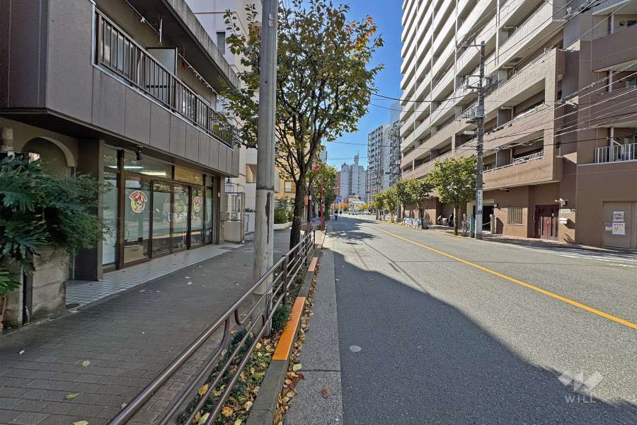 敷地の南東側前面道路（北東側から）