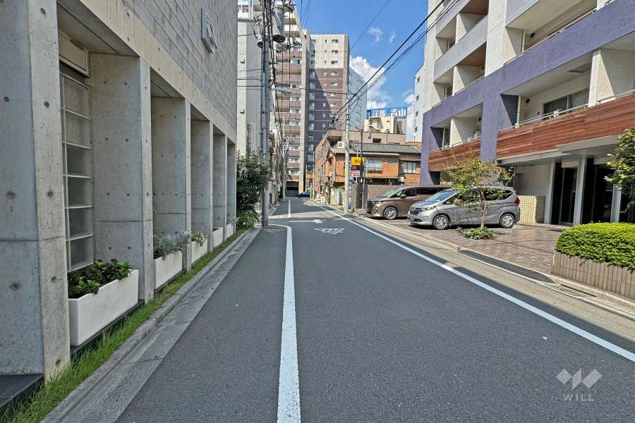 敷地の西側前面道路（南側から）