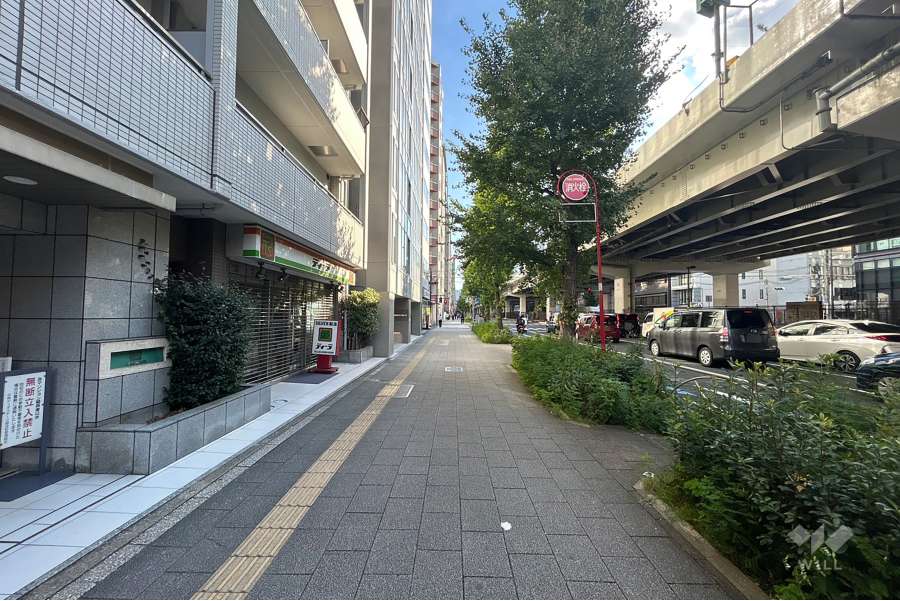 敷地西側の前面道路（北側から）