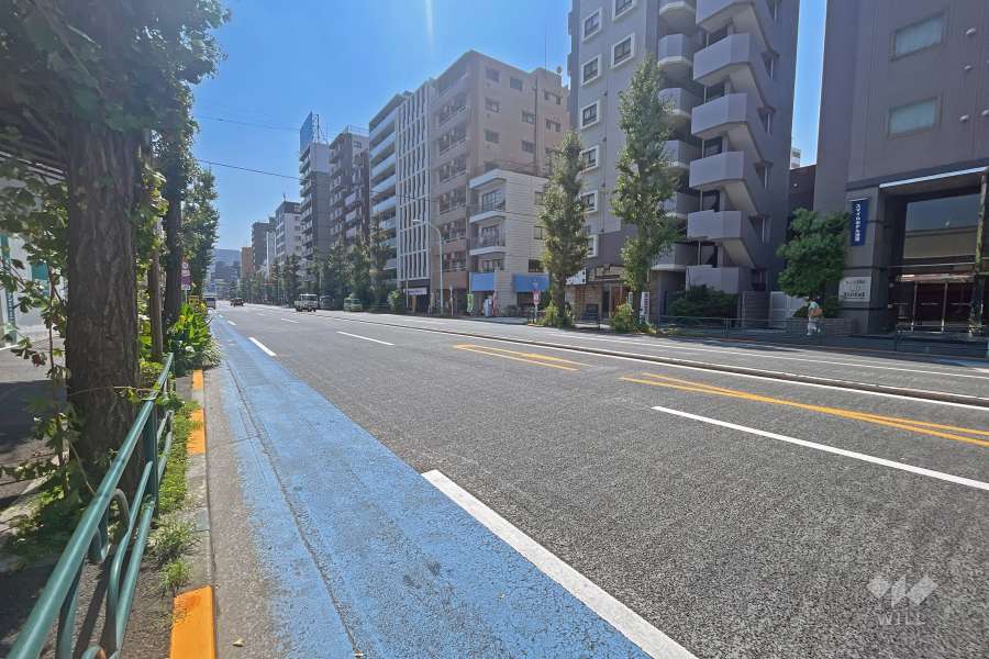 敷地の西側前面道路（北側から）