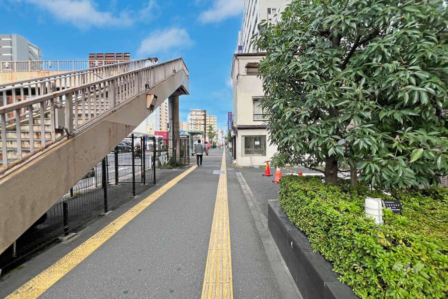 敷地北西側の前面道路（南西側から）