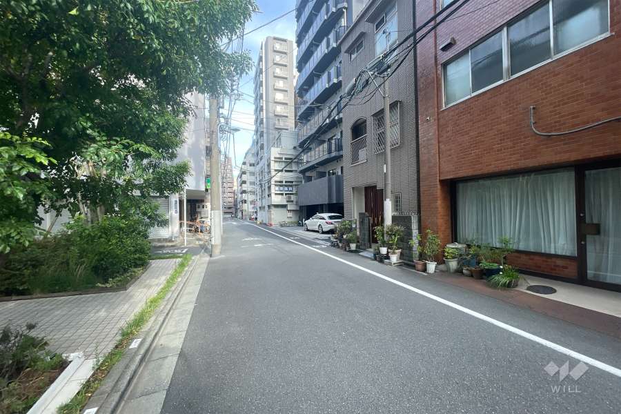 敷地南側の前面道路（西側から）