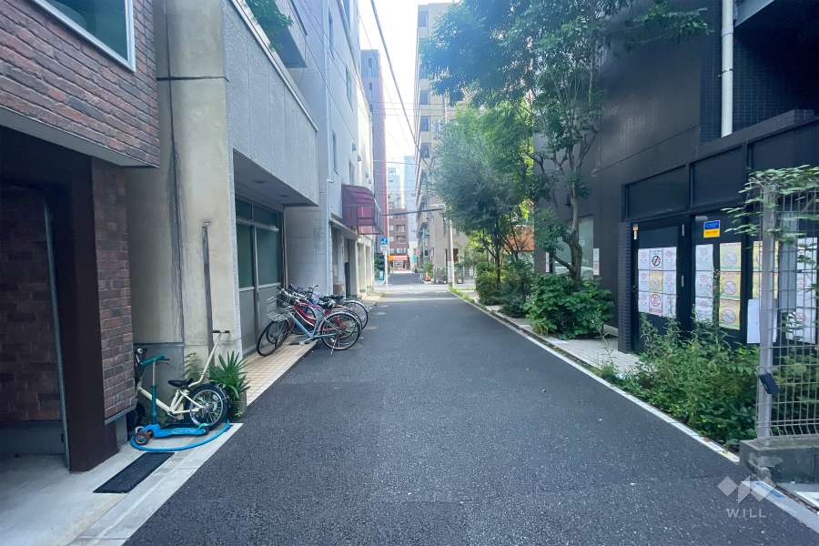 敷地東側の前面道路（北側から）