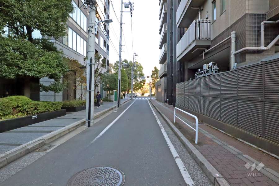 敷地南側の前面道路（西側から）