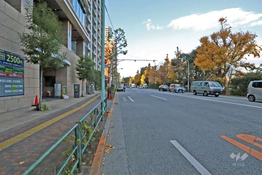 敷地東側の前面道路は不忍通りです（南側から）。