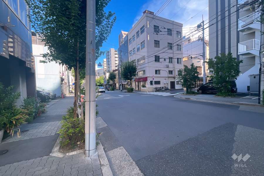 敷地南側の前面道路（西側から）