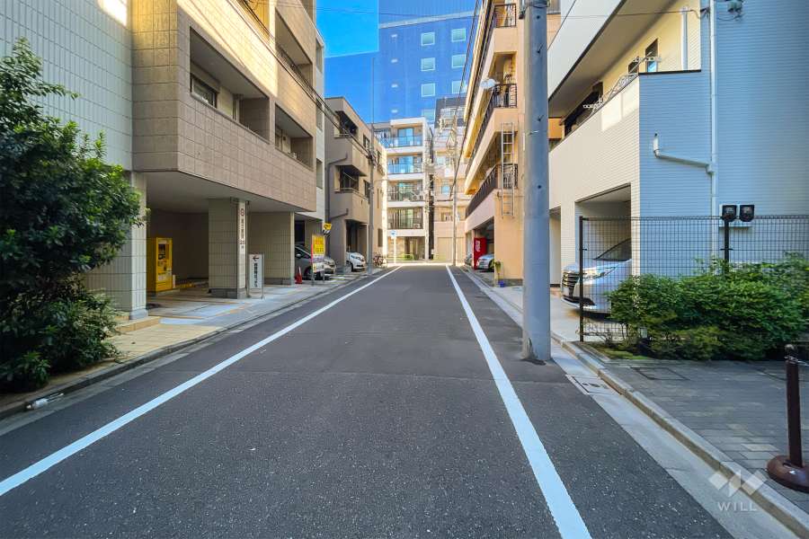 敷地の西側前面道路（南側から）