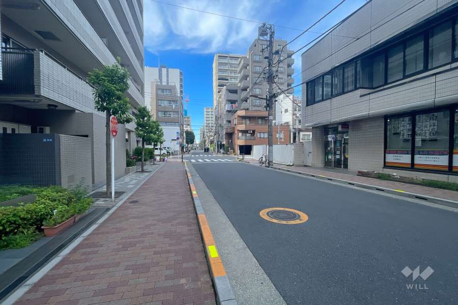 敷地東側の前面道路　