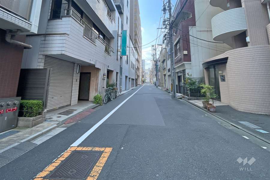 敷地の西側前面道路（北側から）