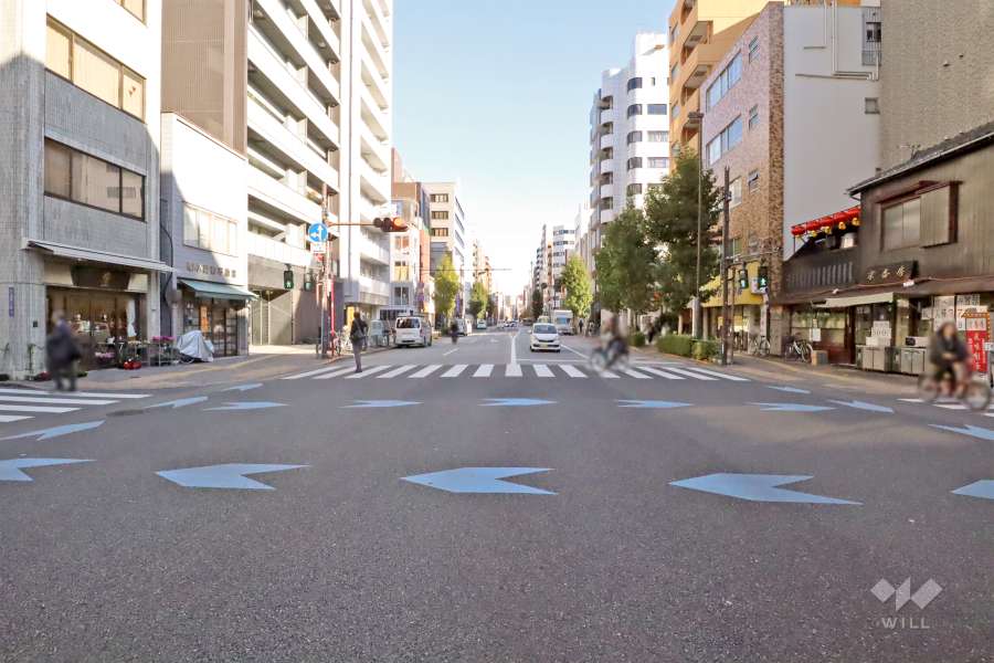 敷地南側の前面道路(西側から)