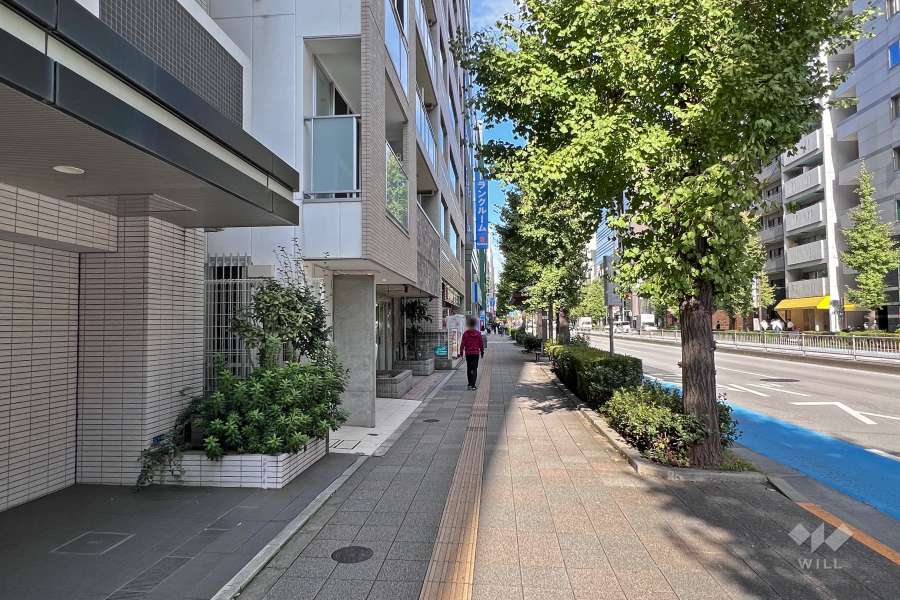 敷地南東側の前面道路（南西側から）