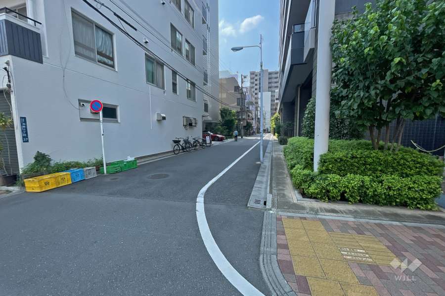 敷地西側の前面道路（北側から）