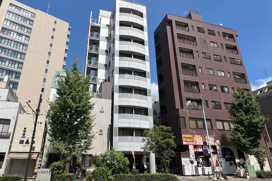 コンフォート入谷の外観（南西側から）