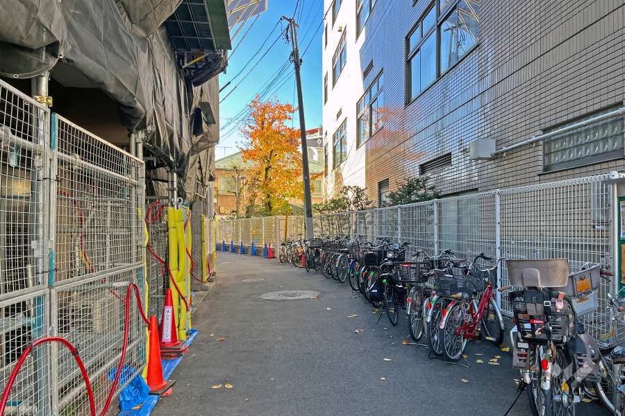 敷地の西側前面道路（北側から）