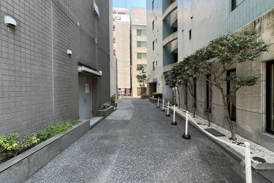 敷地北側の前面道路（西側から）