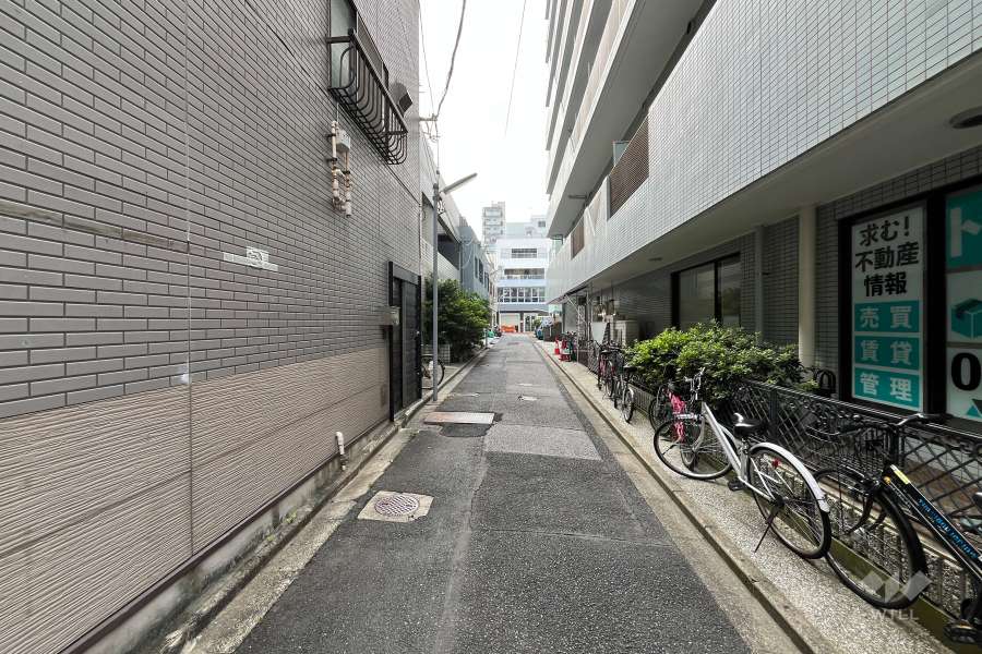 敷地の東側前面道路（北側から）