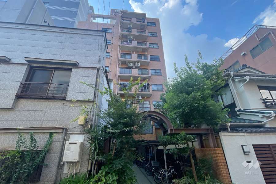 ダイアパレス浅草の外観（北東側から）