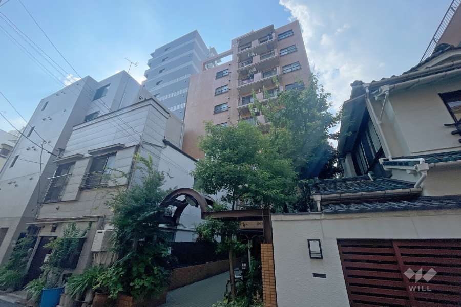 ダイアパレス浅草の外観（南東側から）