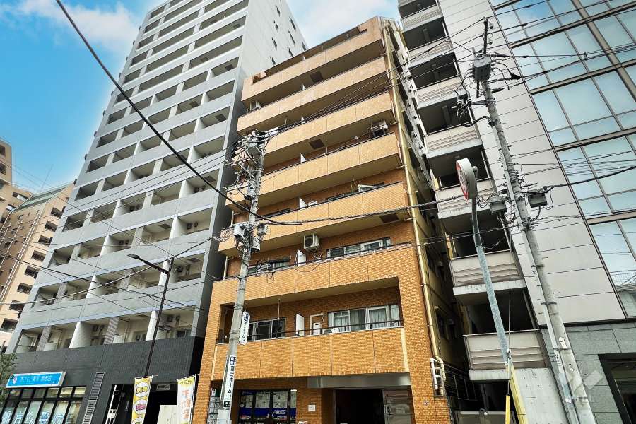 ダイアパレス大洋駒形の外観（西側から）