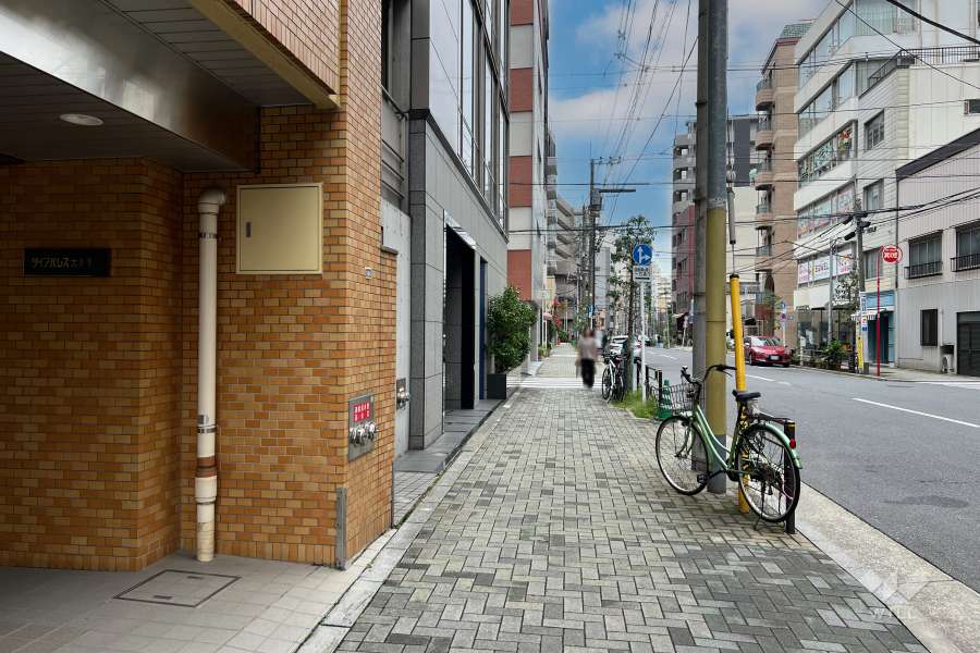 敷地の西側前面道路（北側から）