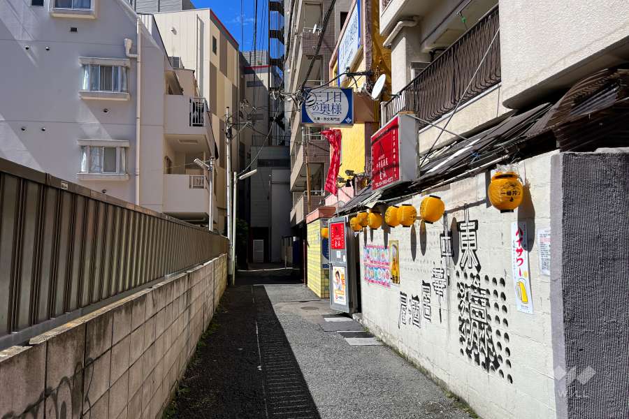 敷地南西側の前面道路（南東側から）