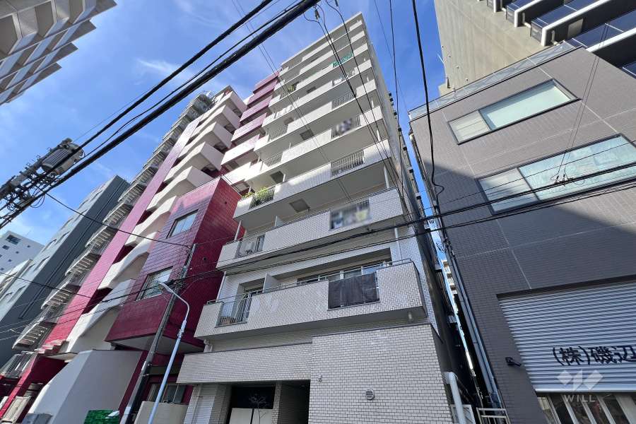 ニューライフ蔵前の外観（東側から）