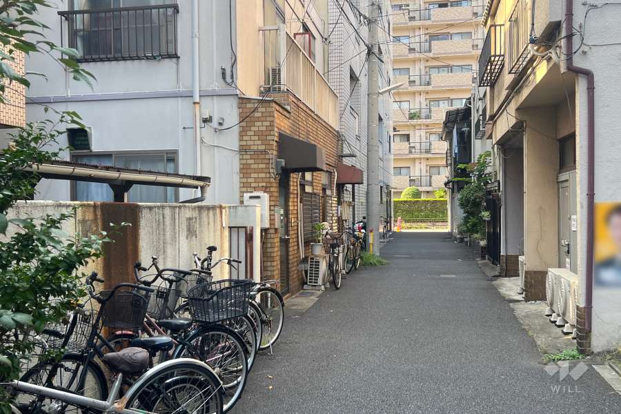 敷地の北東側前面道路（南東側から）