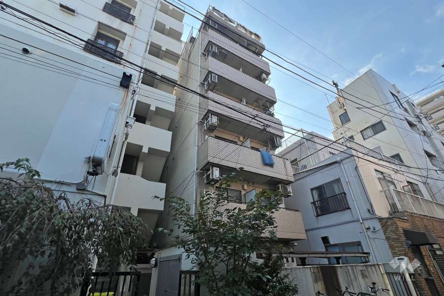 パールシティ浅草壱番館の外観（東側から）