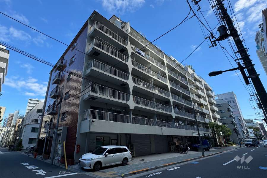 ハイコーポ松が谷の外観（南西側から）