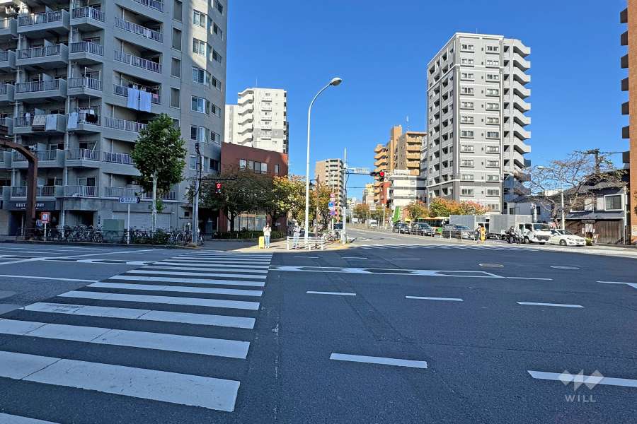 敷地の東側前面道路（南側から）