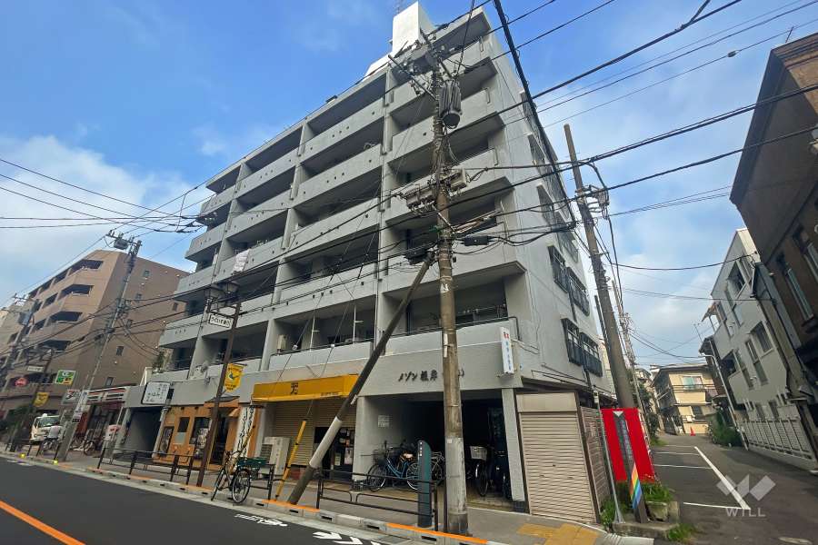 メゾン根岸の外観（北東側から）