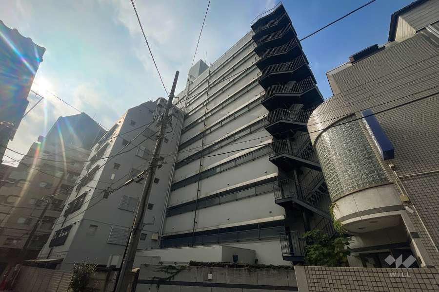 メゾン根岸の外観（北西側から）