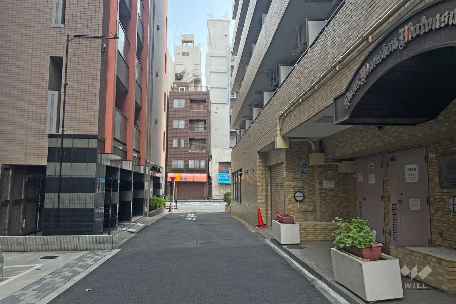 敷地東側の前面道路（北側から）